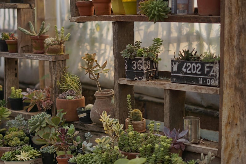 Indoor Greenhouses