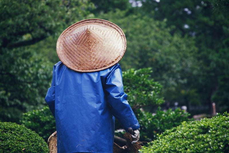 Volunteer Gardening